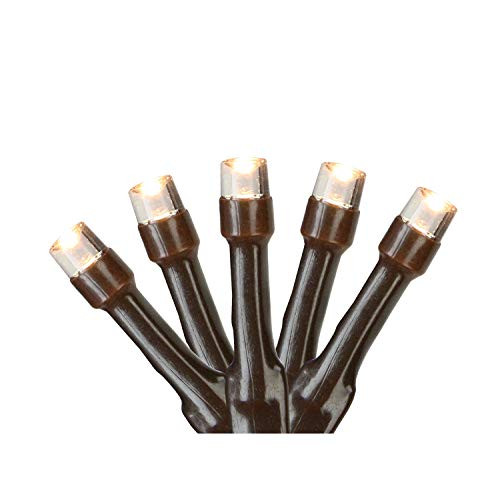 Northlight 20 Warm White LED Battery Operated Wide Angle Christmas Lights - 9.5 ft Brown Wire