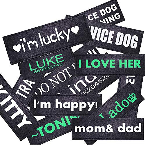 FML PET 2 Pack Custom Reflective Patches for Vest Harness  and Collar Personalized Patches with Hook Backing Customizable Dog Patches of Dog Name - Service Dog - in Training - Do Not Pet