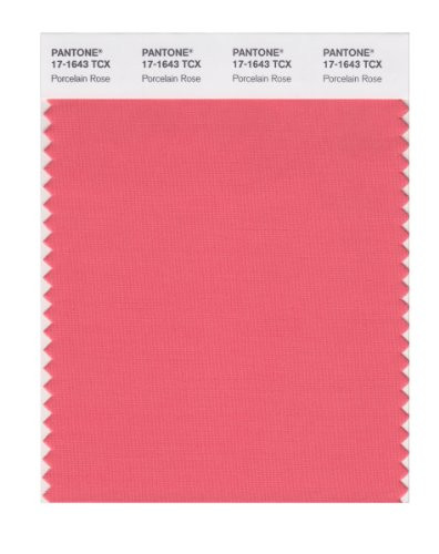 PANTONE Smart 17-1643X Color Swatch Card Porcelain Rose