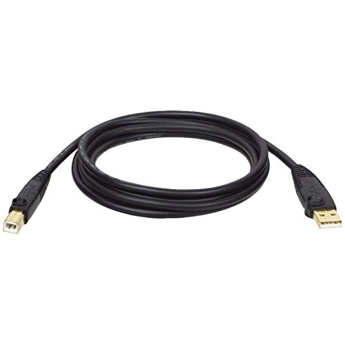 TRIPPLITE U022-010 10-ft. USB2.0 A/B Gold Device Cable A Male to B Male