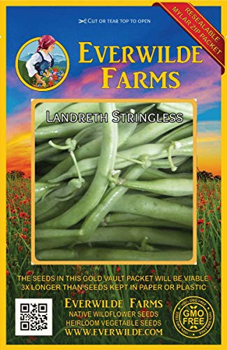 Everwilde Farms - 100 Langstrath Stringless Green Bean Seeds - Gold Vault Jumbo Seed Packet