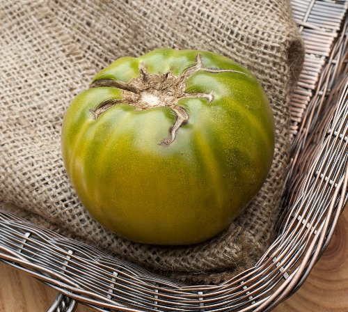 Aunt Rubys German Green Heirloom Tomato Premium Seed Packet  Plus More