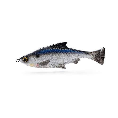 Savage Gear - Pulse Tail Shiner 4 inch LB Shad