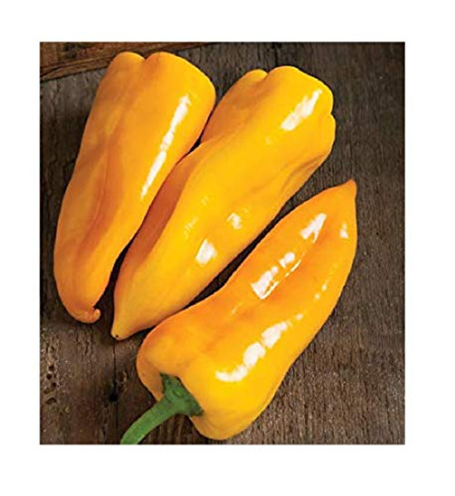 Davids Garden Seeds Pepper Specialty Sweet Escamillo 1122 -Yellow- 25 Non-GMO Hybrid Seeds Davids Garden Seeds Pepper Specialty Sweet Escamillo 1122 -Yellow- 25 Non-GMO Hybrid Seeds