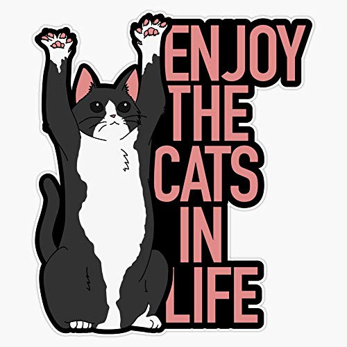 Leyland Designs Enjoy The Cats in Life Sticker Outdoor Rated Vinyl Sticker Decal for Windows Bumpers Laptops or Crafts 5 inch