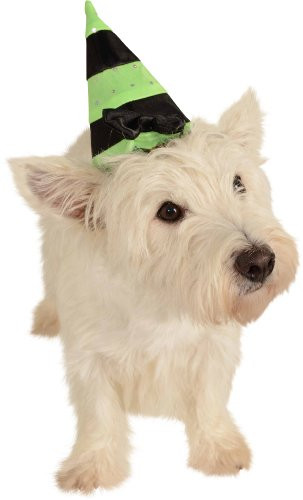 Rubies Pet Costume Medium to Large Green and Black Witch Hat