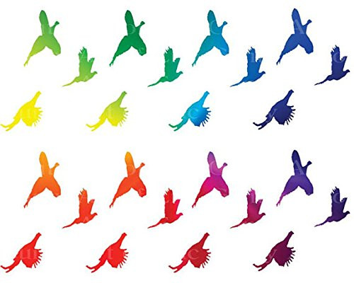 Rainbow Pheasant Hunting - Cake Side Strip - Edible Cake/Cupcake Party Topper - D22631