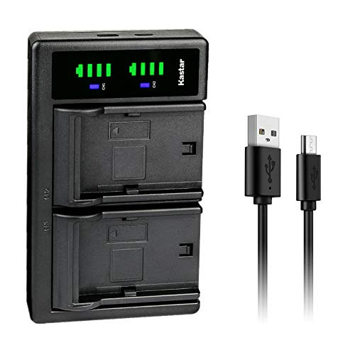 Kastar PSP 110 LTD2 USB Battery Charger Replacement for Sony PSP-110 PSP110 Battery Sony PSP-1000KCW PSP-1001 PSP-1002 PSP-1003 PSP-1004 PSP-1005 PSP-1006 Video Game PSP Playstation
