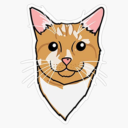 Leyland Designs Remus Sticker Outdoor Rated Vinyl Sticker Decal for Windows Bumpers Laptops or Crafts 5 inch