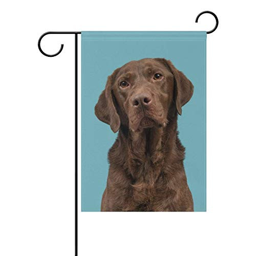 POUDBDH Chocolate Brown Labrador Retriever Garden Flag Yard Decoration 12 x 18 Inches Double Sided House Flag Banners Outdoor Lawn Decorations POUDBDH Chocolate Brown Labrador Retriever Garden Flag Yard Decoration 12 x 18 Inches Double Sided House Flag Banners Outdoor Lawn Decorations