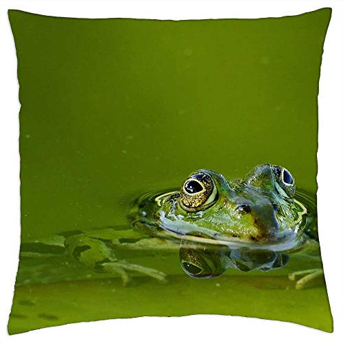 LESGAULEST Throw Pillow Cover -24x24 inch- - Frog Frog Pond Water Lake Pond Green Amphibian LESGAULEST Throw Pillow Cover -24x24 inch- - Frog Frog Pond Water Lake Pond Green Amphibian