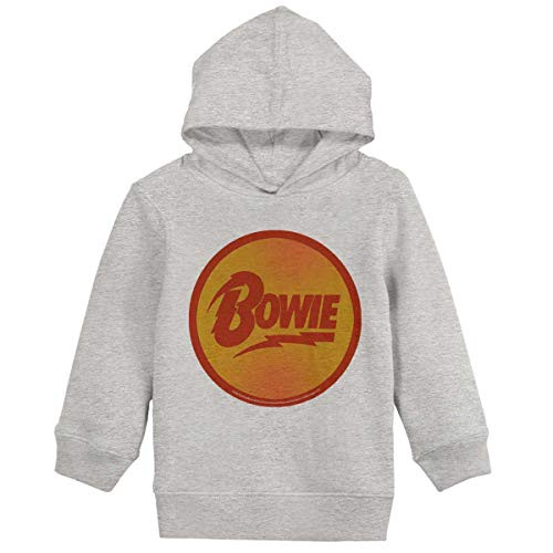 Brisco Brands David Bowie Circle Starman Logo Boy Girl Hoodie Sweatshirts