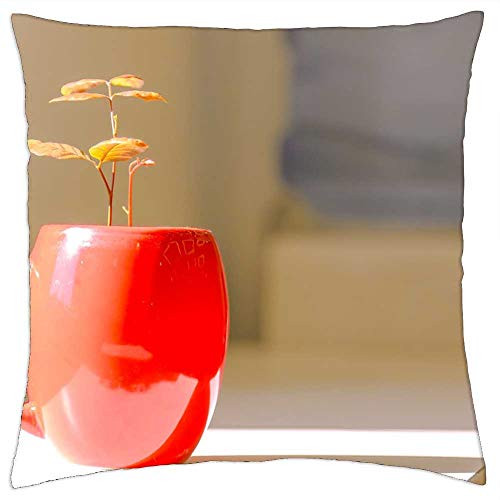 LESGAULEST Throw Pillow Cover -24x24 inch- - Plant Green Plants Potted Plants Window Sill Cup