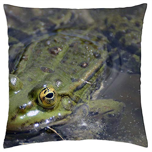 LESGAULEST Throw Pillow Cover -24x24 inch- - Frog Pond Green Water Frogs Pond with Frogs 1 LESGAULEST Throw Pillow Cover -24x24 inch- - Frog Pond Green Water Frogs Pond with Frogs 1