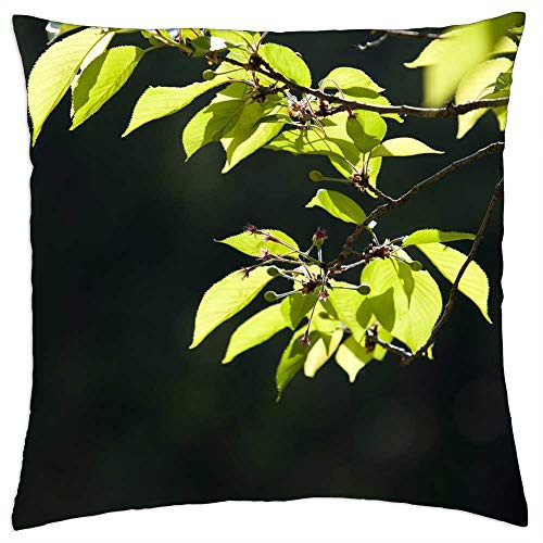 LESGAULEST Throw Pillow Cover -24x24 inch- - Bud Leaf Green Spring Plants Nature Greenery 4