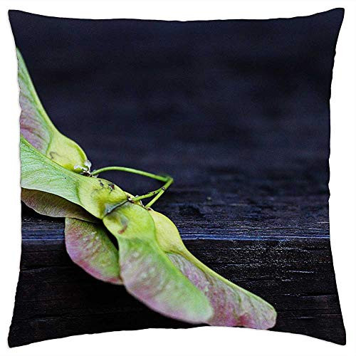 LESGAULEST Throw Pillow Cover -24x24 inch- - Maple Seed Wood Fall Maple Seeds Green Plant