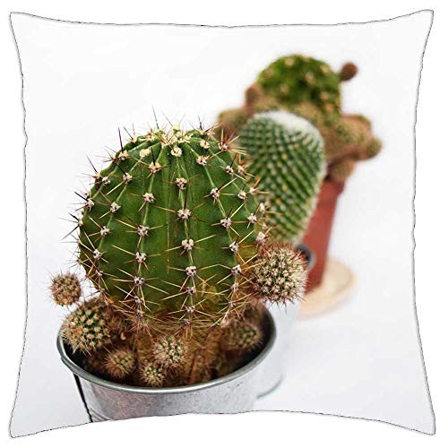 LESGAULEST Throw Pillow Cover -24x24 inch- - Plant Succulent Cactus Cacti Green Botanical Pot LESGAULEST Throw Pillow Cover -24x24 inch- - Plant Succulent Cactus Cacti Green Botanical Pot
