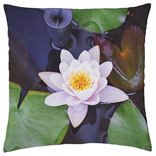LESGAULEST Throw Pillow Cover -24x24 inch- - Lily Pad Lily Flower Water Pond Green Pad Garden LESGAULEST Throw Pillow Cover -24x24 inch- - Lily Pad Lily Flower Water Pond Green Pad Garden