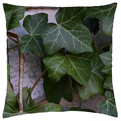 LESGAULEST Throw Pillow Cover -24x24 inch- - Ivy Plant Green Garden Background