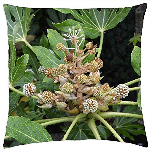 LESGAULEST Throw Pillow Cover -24x24 inch- - Green Plants Nature Massif Green Plant Leaves 2 LESGAULEST Throw Pillow Cover -24x24 inch- - Green Plants Nature Massif Green Plant Leaves 2