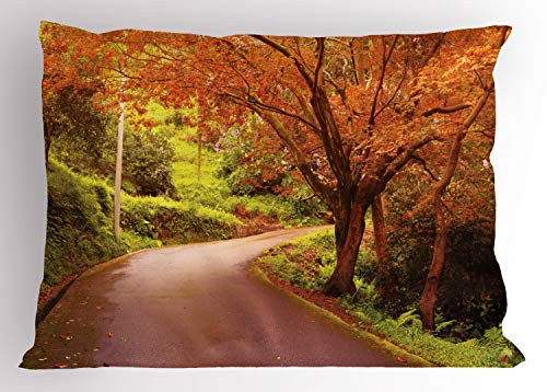 Lunarable English Countryside Pillow Sham Rural Nature Outdoorsy with Road Through The Autumn Forest Decorative Standard Size Printed Pillowcase 26 inch X 20 inch Multicolor