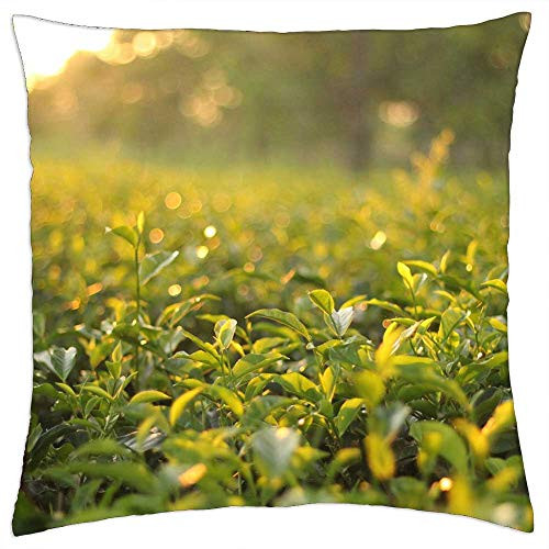 LESGAULEST Throw Pillow Cover -24x24 inch- - Tea Garden Natural Green Leaf Summer Tea Garden