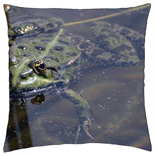LESGAULEST Throw Pillow Cover -24x24 inch- - Frog Pond Green Water Frogs Pond with Frogs LESGAULEST Throw Pillow Cover -24x24 inch- - Frog Pond Green Water Frogs Pond with Frogs