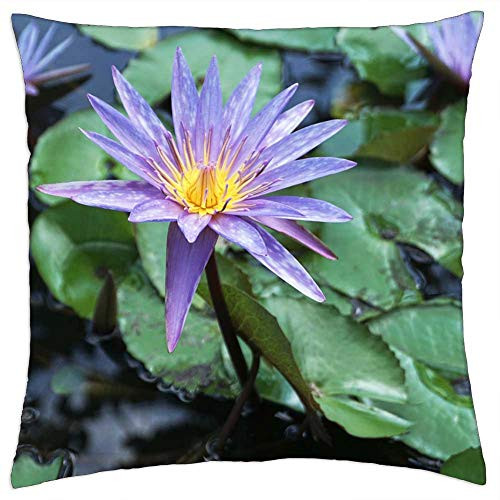 LESGAULEST Throw Pillow Cover -24x24 inch- - Flower Lily Water Pond Lotus Green Purple Asia LESGAULEST Throw Pillow Cover -24x24 inch- - Flower Lily Water Pond Lotus Green Purple Asia