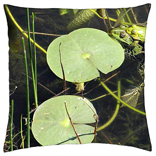 LESGAULEST Throw Pillow Cover -24x24 inch- - The Frog Pond Green The Frog Pond Nature Animal LESGAULEST Throw Pillow Cover -24x24 inch- - The Frog Pond Green The Frog Pond Nature Animal