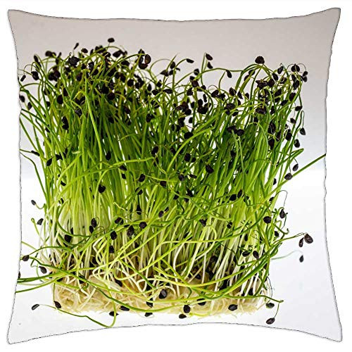 LESGAULEST Throw Pillow Cover -24x24 inch- - Watercress Cress Food Healthy Green Fresh Plant