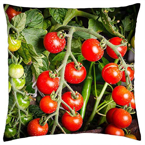 LESGAULEST Throw Pillow Cover -24x24 inch- - Tomato Green Vegetable Organic Red Plant Tomatoes