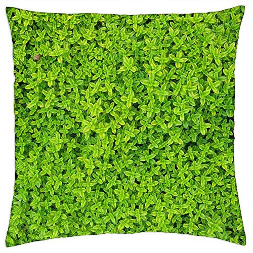 LESGAULEST Throw Pillow Cover -24x24 inch- - Ivy Plants Leaves Wall Green Foliage Vine Garden