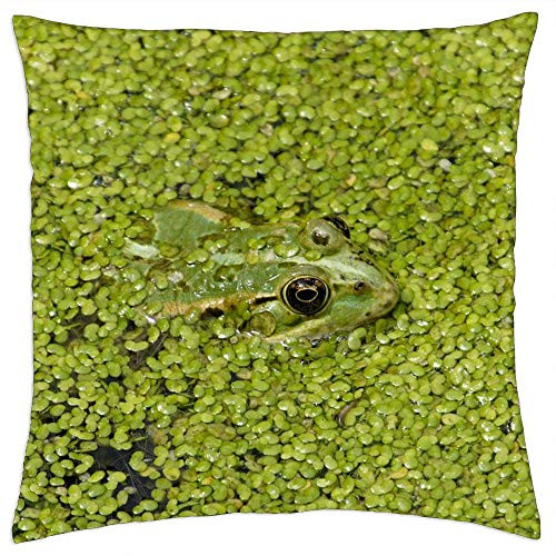 LESGAULEST Throw Pillow Cover -24x24 inch- - Frog Green Water Amphibian Pond Nature Pond Frogs LESGAULEST Throw Pillow Cover -24x24 inch- - Frog Green Water Amphibian Pond Nature Pond Frogs