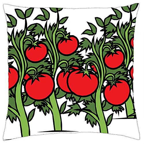 LESGAULEST Throw Pillow Cover -24x24 inch- - Tomato Garden Vine Plants Red Ripe Green Food