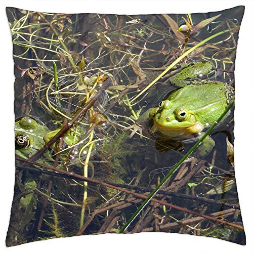 LESGAULEST Throw Pillow Cover -24x24 inch- - The Frog Pond Green The Frog Pond Nature Animal 1