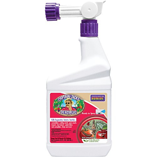 Bonide Chemical Dead Bug Brew RTS with Hose End Sprayer 32 FL Oz
