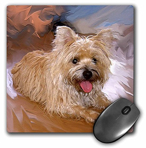 3dRose LLC 8 x 8 x 0.25 Inches Cairn Terrier Mouse Pad -mp_4466_1- 3dRose LLC 8 x 8 x 0.25 Inches Cairn Terrier Mouse Pad -mp_4466_1-