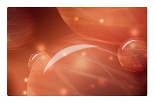 LESGAULEST Doormat Floor Rug/Mat -23.6 x 15.7 inch- - Ball Balls Fantasy Background Image Orange Brown