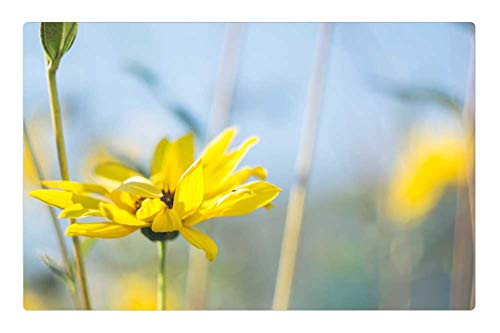 LESGAULEST Doormat Floor Rug/Mat -23.6 x 15.7 inch- - Yellow Flower Nature Spring Plant Green Blossom LESGAULEST Doormat Floor Rug/Mat -23.6 x 15.7 inch- - Yellow Flower Nature Spring Plant Green Blossom