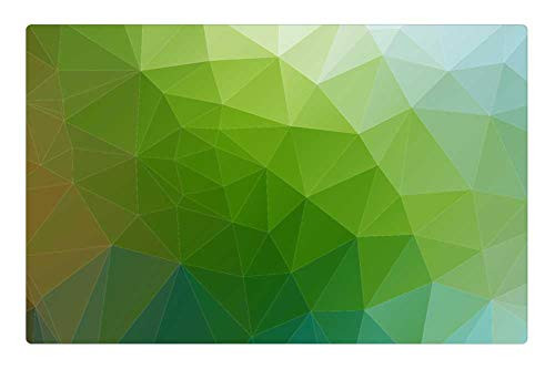LESGAULEST Doormat Floor Rug/Mat -23.6 x 15.7 inch- - Background Mesh Triangle Polygon Green Triangles