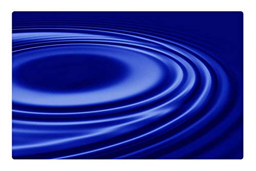 LESGAULEST Doormat Floor Rug/Mat -23.6 x 15.7 inch- - Wave Blue Concentric Waves Circles Water Circle LESGAULEST Doormat Floor Rug/Mat -23.6 x 15.7 inch- - Wave Blue Concentric Waves Circles Water Circle
