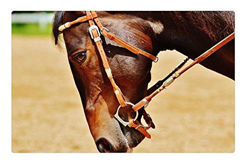 LESGAULEST Doormat Floor Rug/Mat -23.6 x 15.7 inch- - Horse Coupling Stallion Eat Paddock Brown Meadow 17