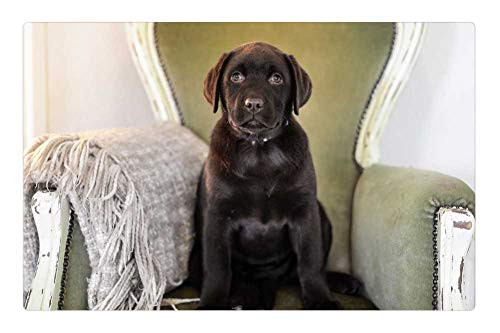 LESGAULEST Doormat Floor Rug/Mat -23.6 x 15.7 inch- - Puppy Dog Cute Sweet Brown Chocolate Labrador 2