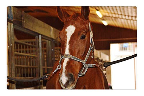 LESGAULEST Doormat Floor Rug/Mat -23.6 x 15.7 inch- - Horse Animal Ride Reiterhof Brown Horse Stable
