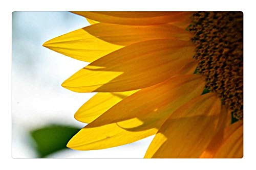 LESGAULEST Doormat Floor Rug/Mat -23.6 x 15.7 inch- - Sunflower Plant Flowering Yellow Summer Flower LESGAULEST Doormat Floor Rug/Mat -23.6 x 15.7 inch- - Sunflower Plant Flowering Yellow Summer Flower