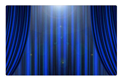LESGAULEST Doormat Floor Rug/Mat -23.6 x 15.7 inch- - Theater Cinema Curtain Stripes Blue Light LESGAULEST Doormat Floor Rug/Mat -23.6 x 15.7 inch- - Theater Cinema Curtain Stripes Blue Light