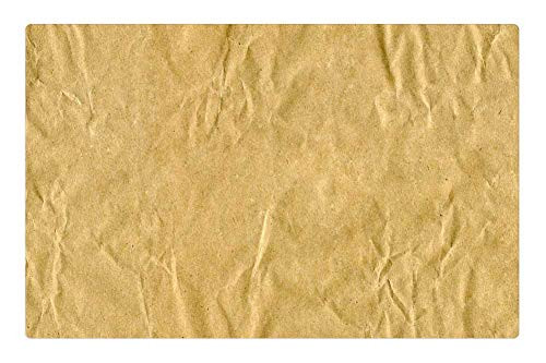 LESGAULEST Doormat Floor Rug/Mat -23.6 x 15.7 inch- - Abstract Backdrop Background Blank Brown Cardboard
