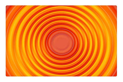 LESGAULEST Doormat Floor Rug/Mat -23.6 x 15.7 inch- - Wave Orange Concentric Waves Circles Water Circle LESGAULEST Doormat Floor Rug/Mat -23.6 x 15.7 inch- - Wave Orange Concentric Waves Circles Water Circle