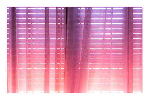 LESGAULEST Doormat Floor Rug/Mat -23.6 x 15.7 inch- - Window Pink Curtain House Interior LESGAULEST Doormat Floor Rug/Mat -23.6 x 15.7 inch- - Window Pink Curtain House Interior