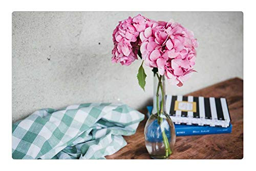 LESGAULEST Doormat Floor Rug/Mat -23.6 x 15.7 inch- - Flower Vase Pink Blossom Plant Nature Curtain LESGAULEST Doormat Floor Rug/Mat -23.6 x 15.7 inch- - Flower Vase Pink Blossom Plant Nature Curtain
